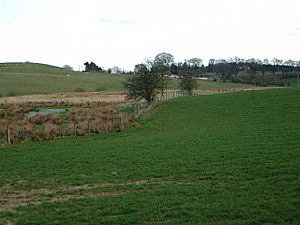 Fields near Lockerbie - geograph.org.uk - 155227