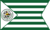 Flag of Green, Ohio