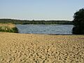 Frensham Great Pond - geograph.org.uk - 582791