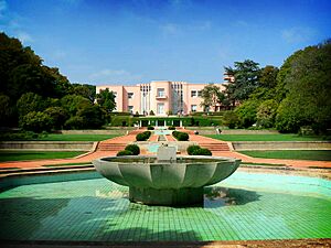 Fundación Serralves o palacete de Miami