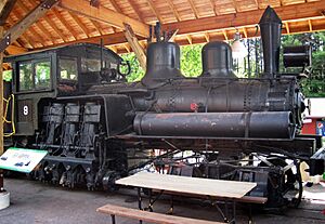 Goodman Lumber Company - 9 steam locomotive (two-truck Shay) 1 (18691517414).jpg
