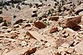 Grand valley-sand stone rocks