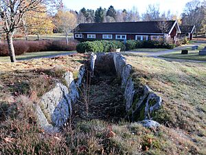 Hällkistan vid Herrljunga kyrkogård (RAÄ-nr Herrljunga 9-1) 4230