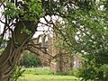 Halesowen - Saint Mary's Abbey