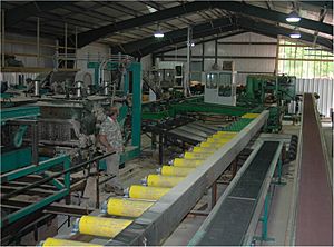 Haliburton Forest Sawmill (interior view)