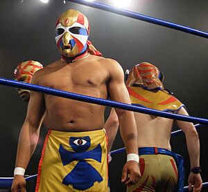 Hieracon (cropped)