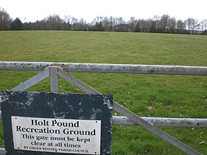 Holt Pound Field