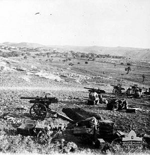 Hong Kong Mountain gun battery in action (November 1917)