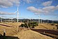 IMG 4001 Windy Hill Wind Farm