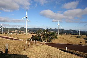 IMG 4001 Windy Hill Wind Farm