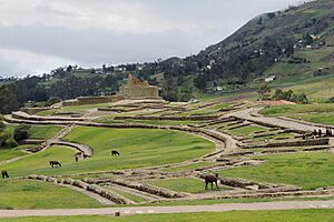 Ingapirca archaeo 01