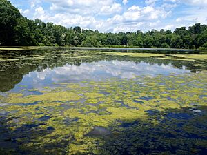 Lake Shenorock