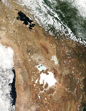 Lake Titicaca Modis Sensor Nov 4 2001