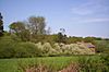Launde Big Wood