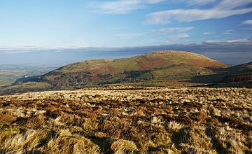 Little mell fell.jpg