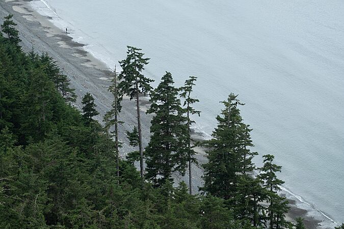 Looking down from Tow Hill, Haida Gwaii