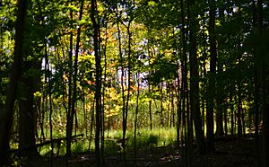 Mentor Marsh Nature Preserve (9594889265)