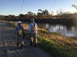 Mersey River, Tasmania 05