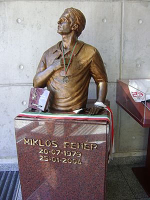 Miklos Feher memorial