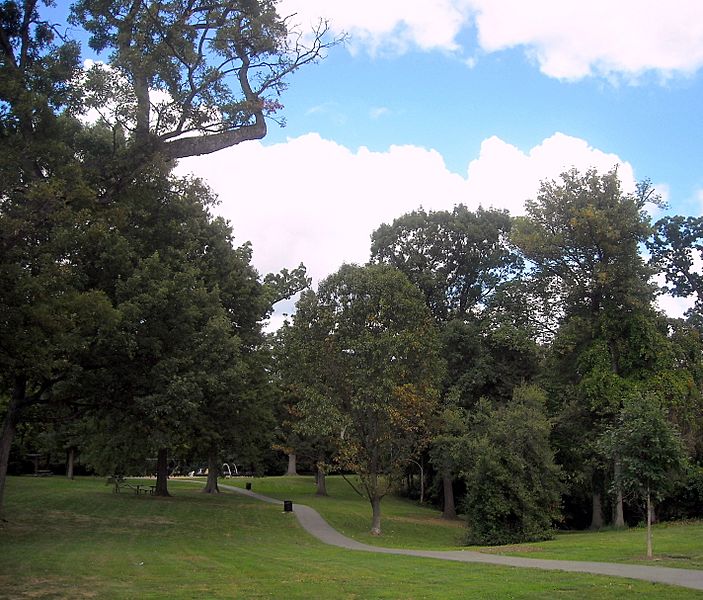 Montrose Park, Georgetown
