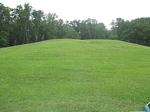 Mound B at Poverty Point IMG 7424