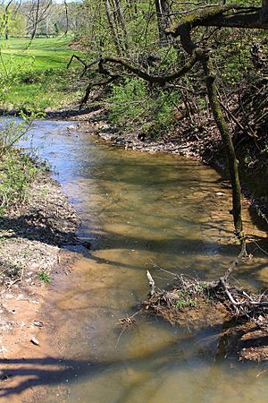 Muddy Run looking upstream in Northumberland County