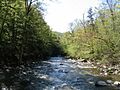 NY Chittenango Falls Facing Away
