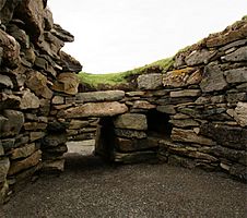 Ness of Burgi 20080821 - entrance of north chamber from the north