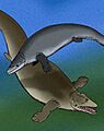 Ocucajea Supayacetus