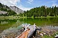 Parku Kombëtar Bjeshkët Nemuna , Liqeni i madh ne Liqenat , Rugove