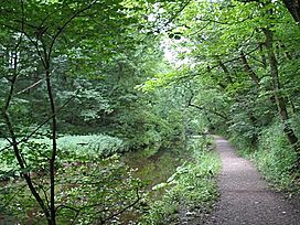 Path up through Skipton Wood.jpg