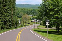 Pennsylvania Route 29 north in Lake Township, Luzerne County, Pennsylvania