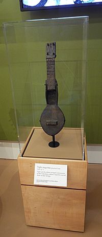 Phoenix-Musical Instrument Museum-Puerto Rico Exhibit-Tiple Requinto--1800s