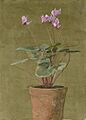 Pink Cyclamen by Fidelia Bridges