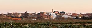 Pinseque, Zaragoza, España, 2015-12-30, DD 09.JPG