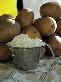 Potato flour2