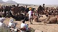 Pushkar.in Camel Fair 2007 - panoramio