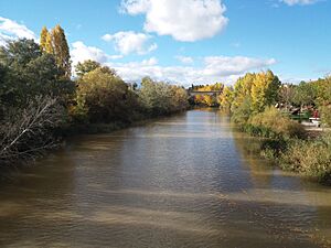 Rio Duero Aranda 10-2018 (05)
