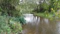 River Roding in Roding Valley Meadows 2