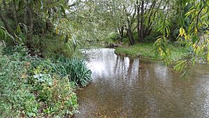 River Roding in Roding Valley Meadows 2.JPG