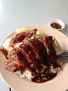 Roast duck rice in Singapore