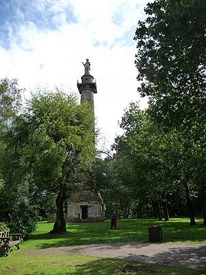 Rowland Hill Monument, Hawkstone Park - geograph.org.uk - 1501487