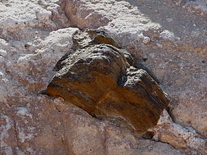 Salton Buttes - Red Island - dark rock in red rock
