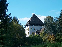Schloss Auenstein