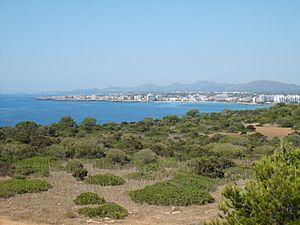 View of the bay of S'illot and Sa Coma