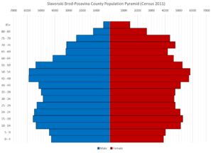 Slavonski Brod-Posavina County Population Pyramid Census 2011 ENG