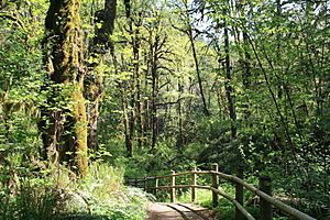 Soda Creek Trail Cascadia State Park