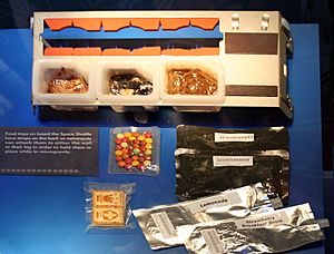 Space shuttle eating tray