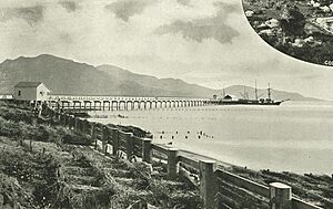 StateLibQld 1 235252 View of the Lucinda Point with Hinchinbrook Island in the background
