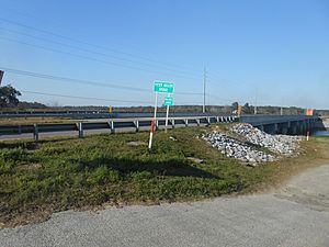 Stono Rebellion site - Jan 23 2013